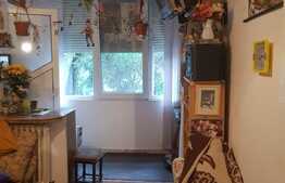 Apartament de 2 camere, 40 mp, etaj 1, zona Dacia