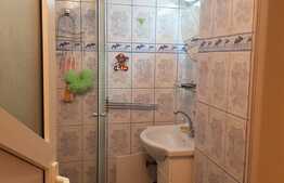 Apartament de 2 camere, 40 mp, etaj 1, zona Dacia