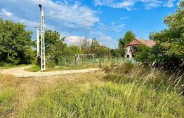 Teren în Episcopia 1000 mp intravilan 