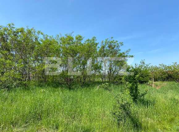 Teren de vânzare Episcopia Bihorului - 86380TV | BLITZ Oradea | Poza6