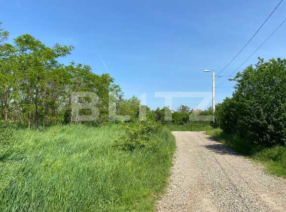 Teren de vânzare Episcopia Bihorului - 86380TV | BLITZ Oradea | Poza4