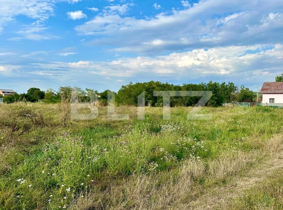 Teren de vânzare Episcopia Bihorului - 86380TV | BLITZ Oradea | Poza7