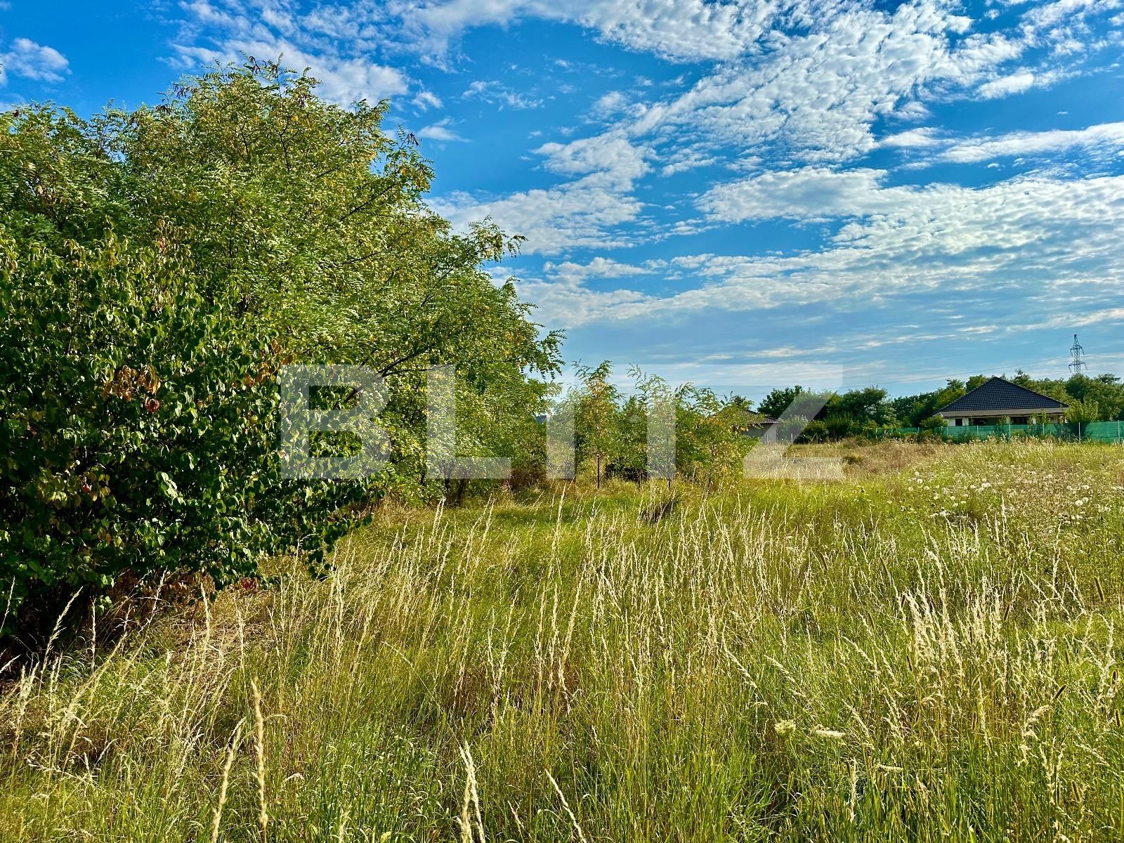 Teren de vânzare Episcopia Bihorului - 86380TV | BLITZ Oradea | Poza5