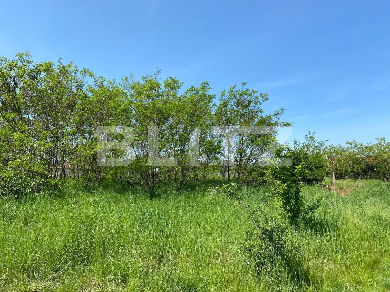 Teren de vânzare Episcopia Bihorului - 86380TV | BLITZ Oradea | Poza6