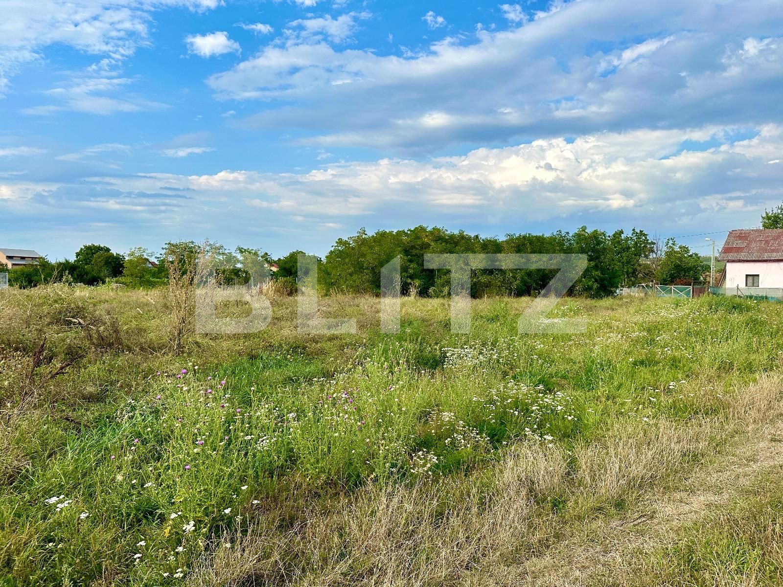 Teren de vânzare Episcopia Bihorului - 86380TV | BLITZ Oradea | Poza7