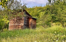 OFERTĂ! Teren Podgoria 4460 mp zona Bis Ortodoxe, Livadă terasată
