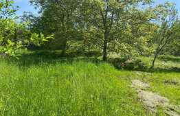 OFERTĂ! Teren Podgoria 4460 mp zona Bis Ortodoxe, Livadă terasată