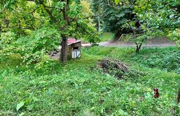 OFERTĂ! Teren Podgoria 4460 mp zona Bis Ortodoxe, Livadă terasată