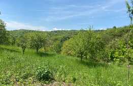 OFERTĂ! Teren Podgoria 4460 mp zona Bis Ortodoxe, Livadă terasată