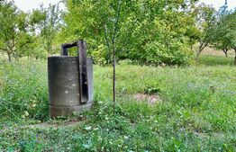 OFERTĂ! Teren Podgoria 4460 mp zona Bis Ortodoxe, Livadă terasată