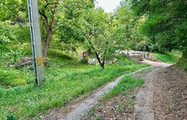 OFERTĂ! Teren Podgoria 4460 mp zona Bis Ortodoxe, Livadă terasată