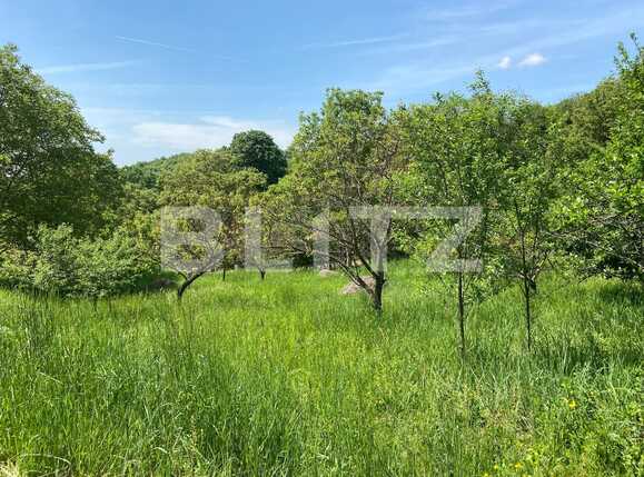 Teren de vânzare Podgoria - 86382TV | BLITZ Oradea | Poza18