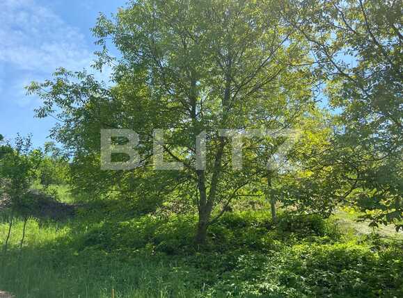 Teren de vânzare Podgoria - 86382TV | BLITZ Oradea | Poza19