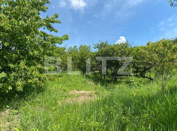 Teren de vânzare Podgoria - 86382TV | BLITZ Oradea | Poza13