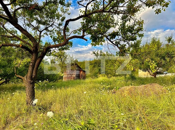 Teren de vânzare Podgoria - 86382TV | BLITZ Oradea | Poza3