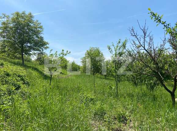 Teren de vânzare Podgoria - 86382TV | BLITZ Oradea | Poza20