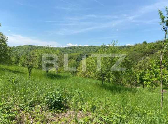 Teren de vânzare Podgoria - 86382TV | BLITZ Oradea | Poza10