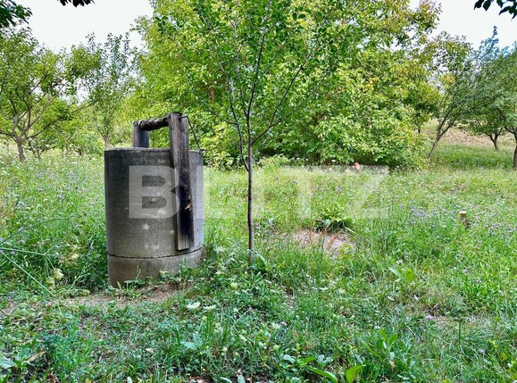 Teren de vânzare Podgoria - 86382TV | BLITZ Oradea | Poza2