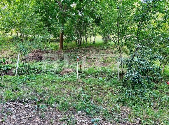 Teren de vânzare Podgoria - 86382TV | BLITZ Oradea | Poza5