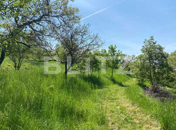 Teren de vânzare Podgoria - 86382TV | BLITZ Oradea | Poza16