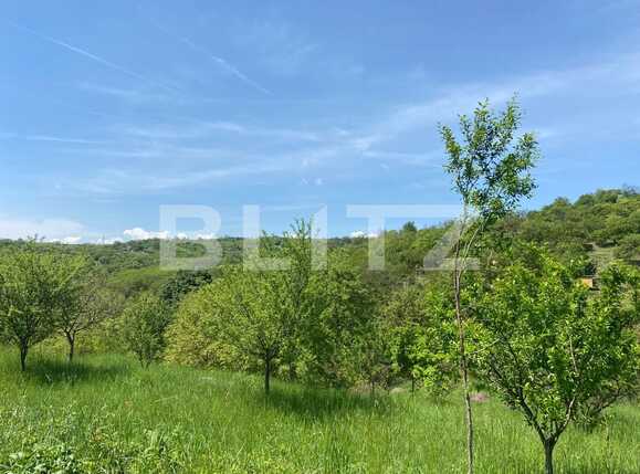 Teren de vânzare Podgoria - 86382TV | BLITZ Oradea | Poza6