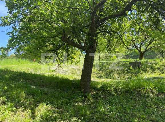 Teren de vânzare Podgoria - 86382TV | BLITZ Oradea | Poza8