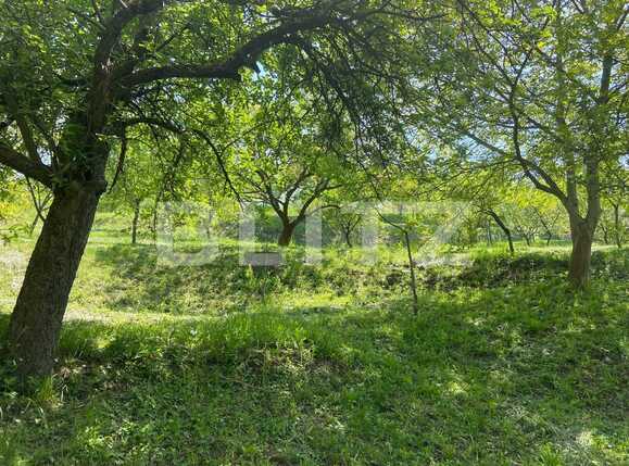 Teren de vânzare Podgoria - 86382TV | BLITZ Oradea | Poza14