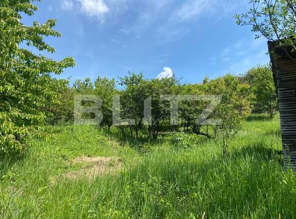 Teren de vânzare Podgoria - 86382TV | BLITZ Oradea | Poza12