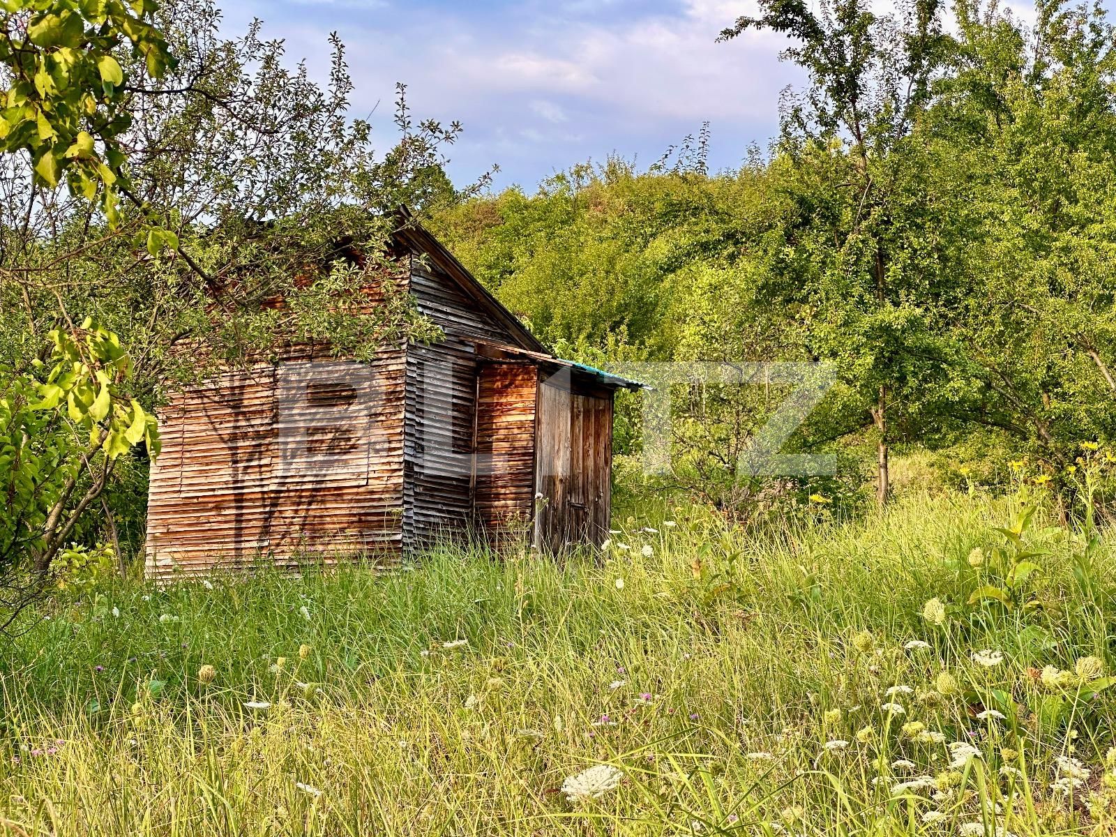 Teren de vânzare Podgoria - 86382TV | BLITZ Oradea | Poza4