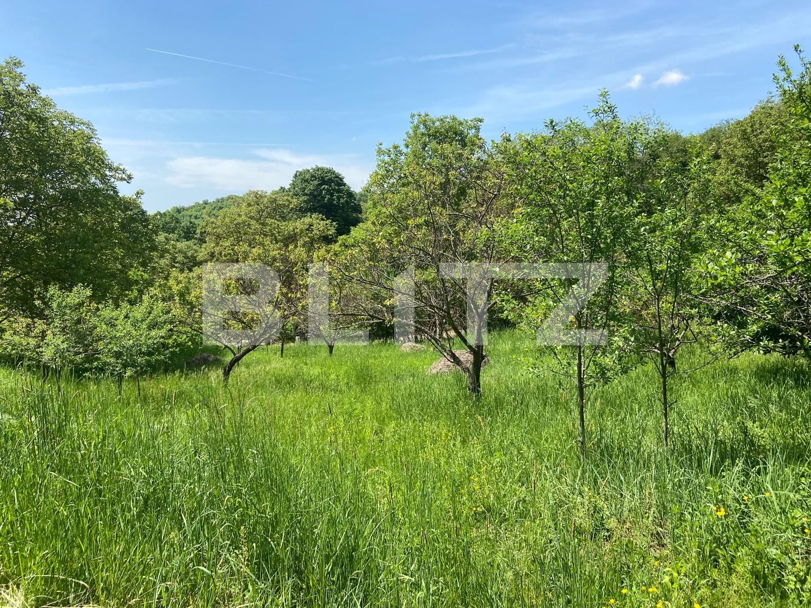 Teren de vânzare Podgoria - 86382TV | BLITZ Oradea | Poza18