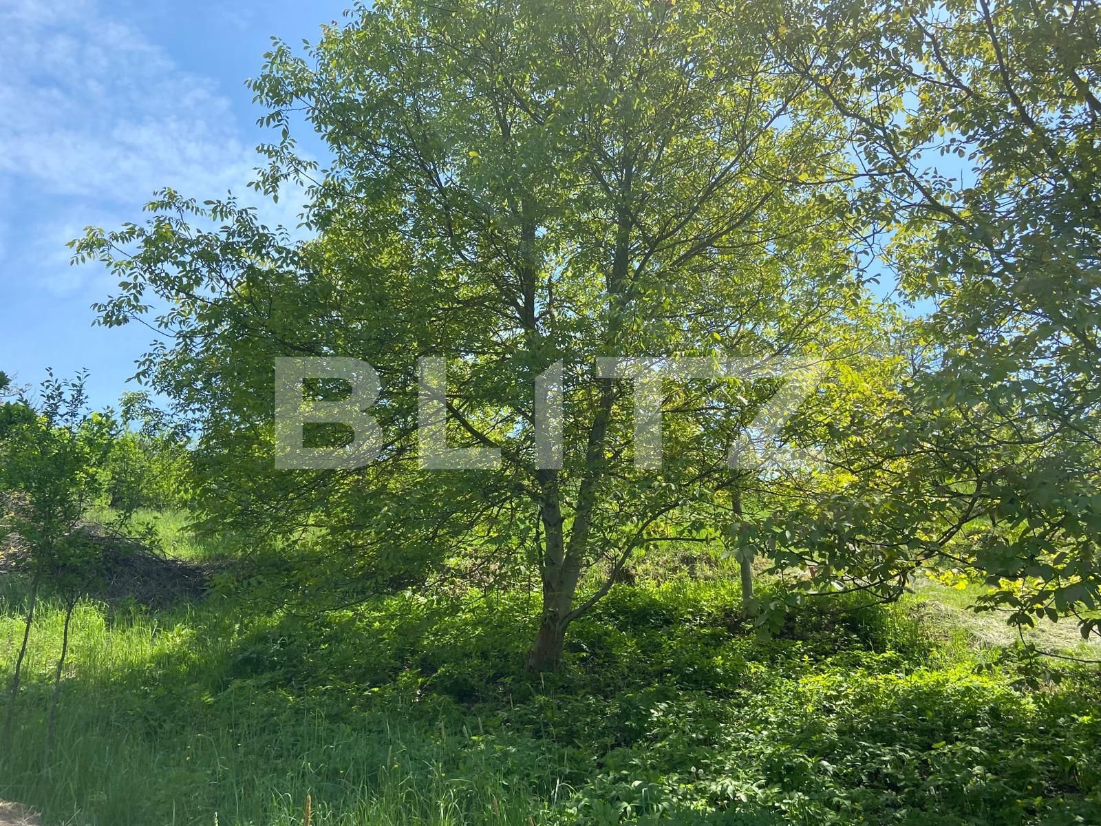 Teren de vânzare Podgoria - 86382TV | BLITZ Oradea | Poza19