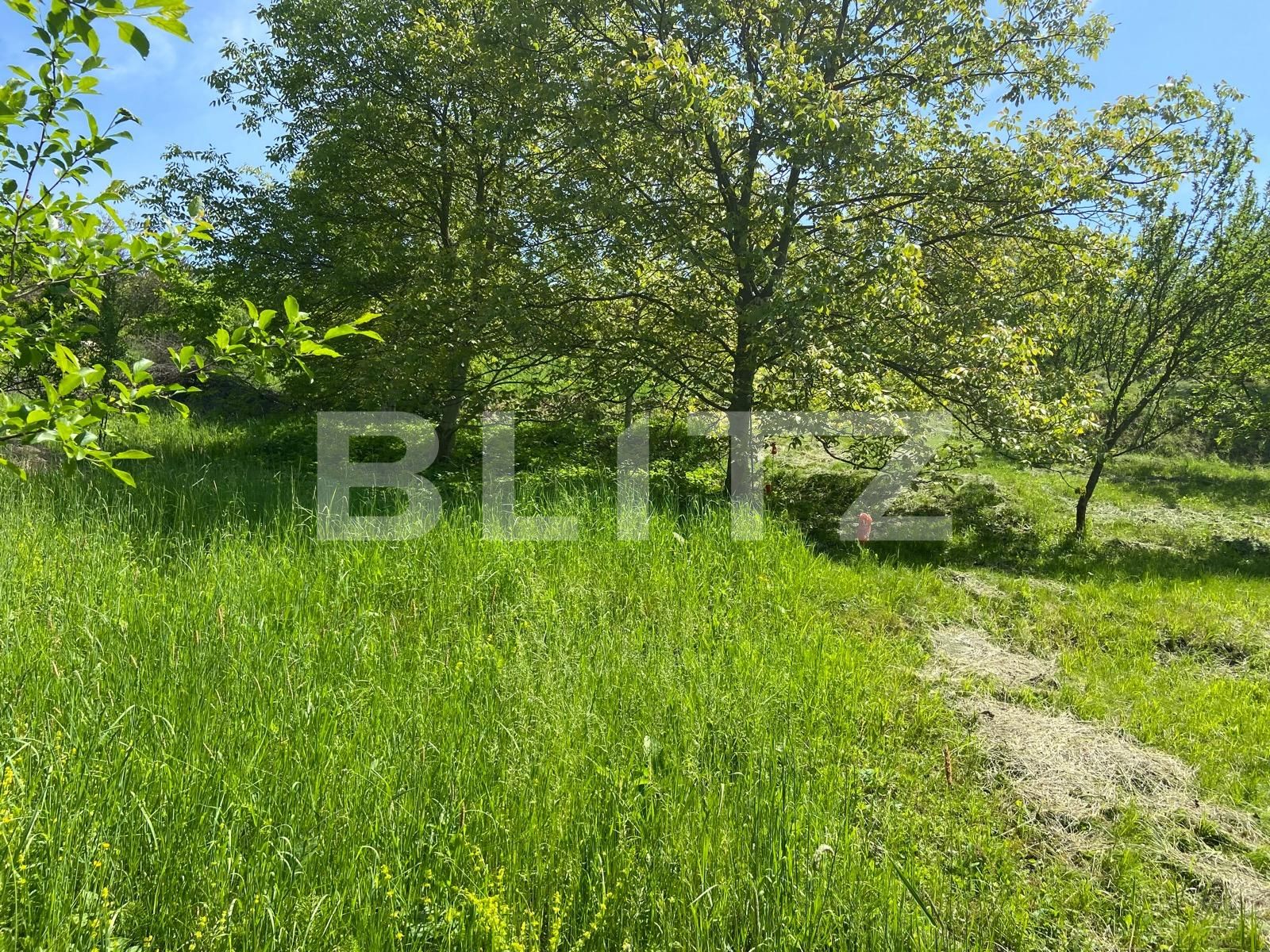 Teren de vânzare Podgoria - 86382TV | BLITZ Oradea | Poza17