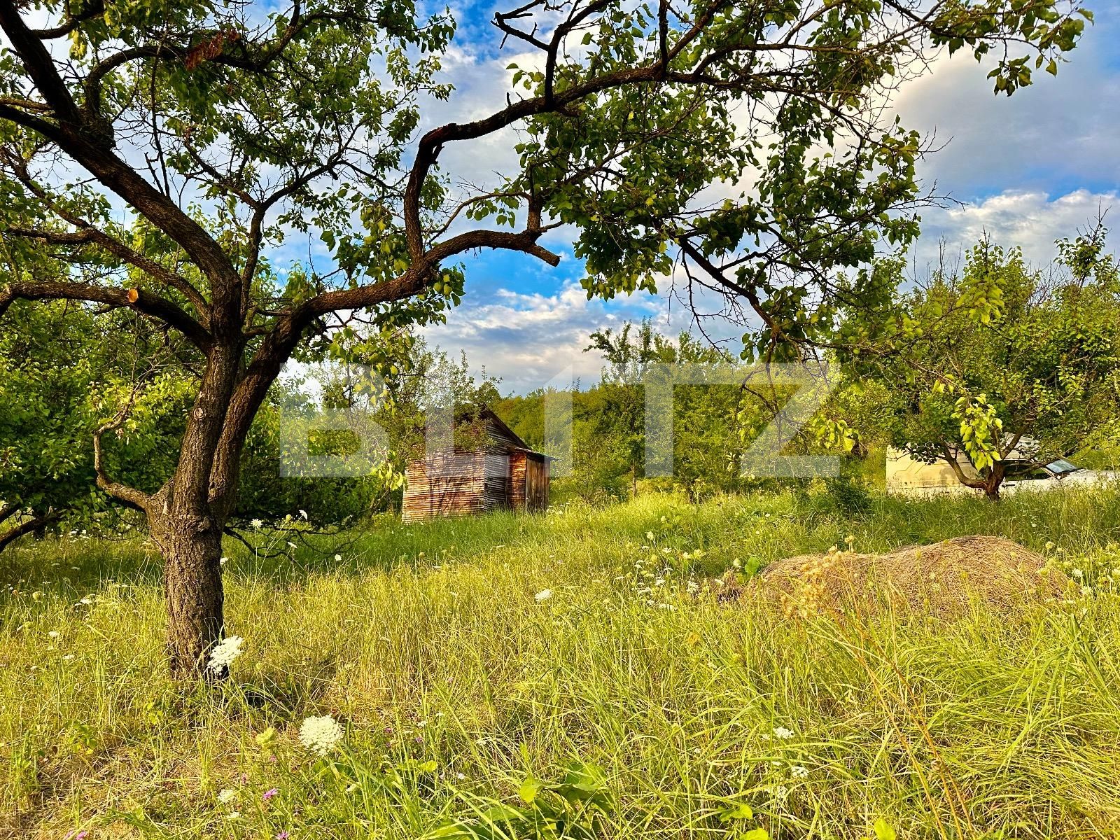 Teren de vânzare Podgoria - 86382TV | BLITZ Oradea | Poza3