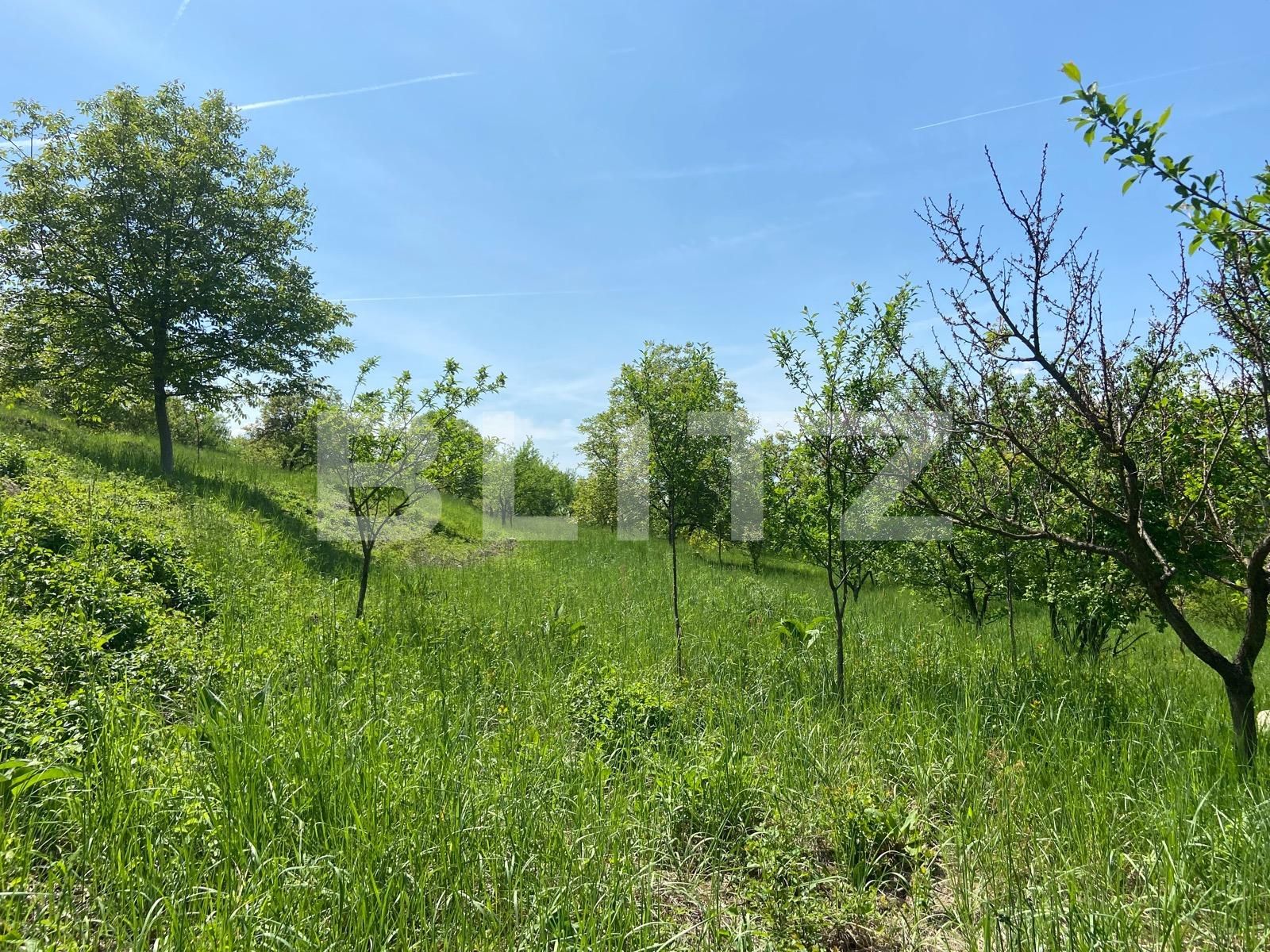 Teren de vânzare Podgoria - 86382TV | BLITZ Oradea | Poza20