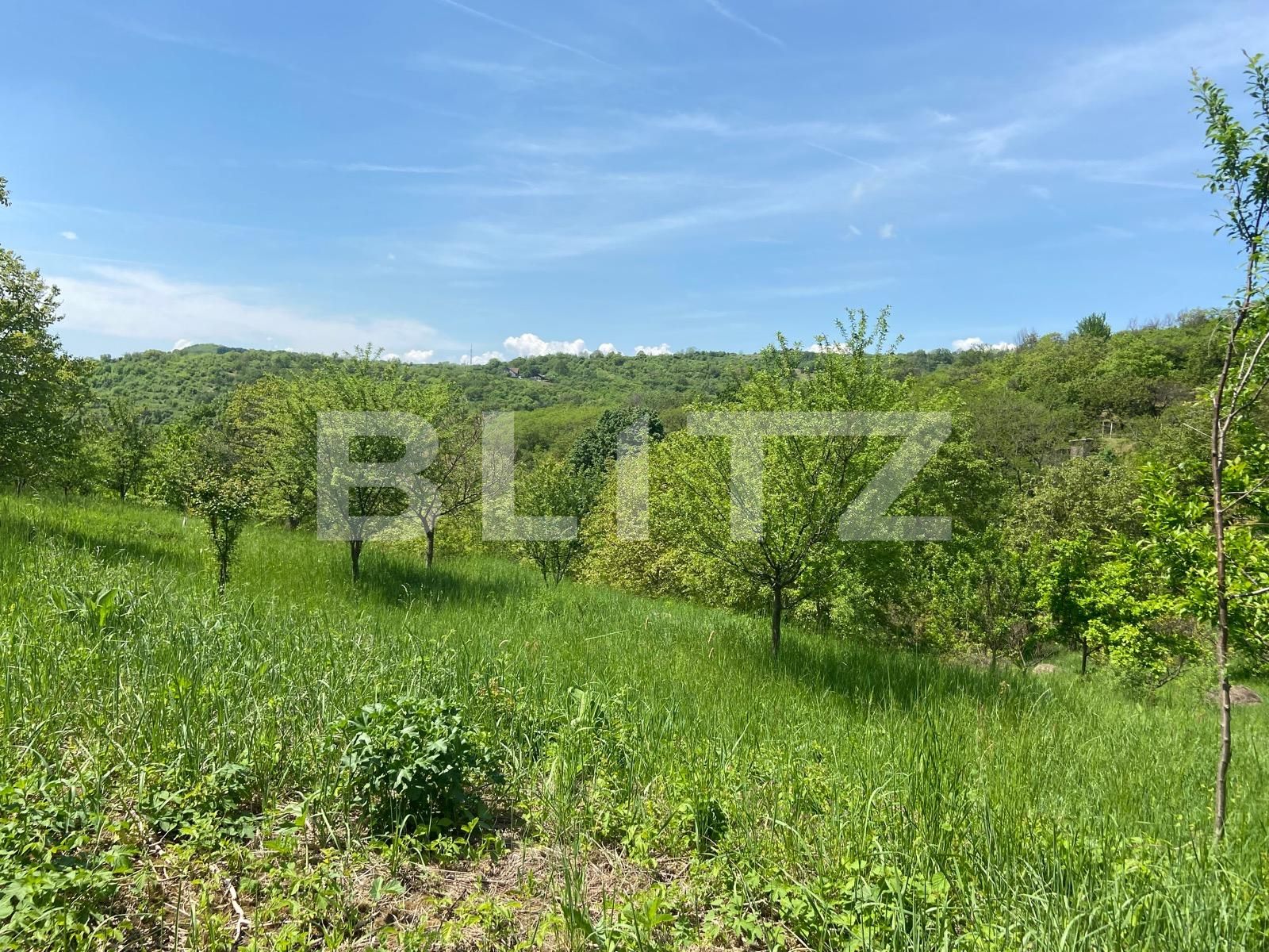 Teren de vânzare Podgoria - 86382TV | BLITZ Oradea | Poza10