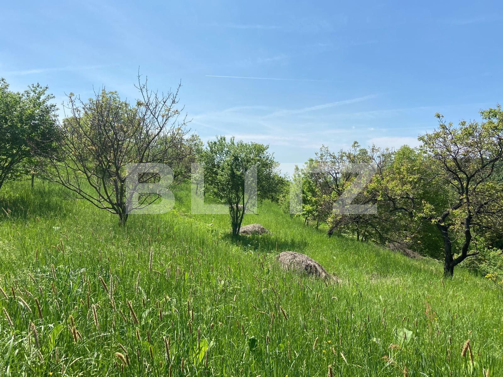 Teren de vânzare Podgoria - 86382TV | BLITZ Oradea | Poza9