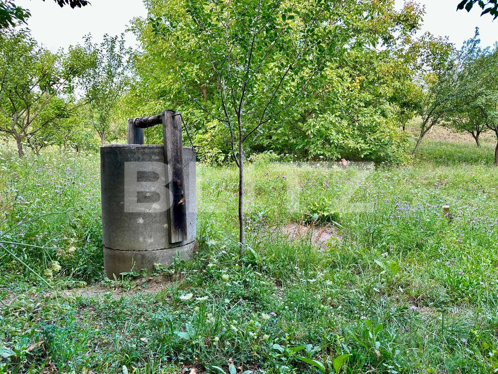 Teren de vânzare Podgoria - 86382TV | BLITZ Oradea | Poza2