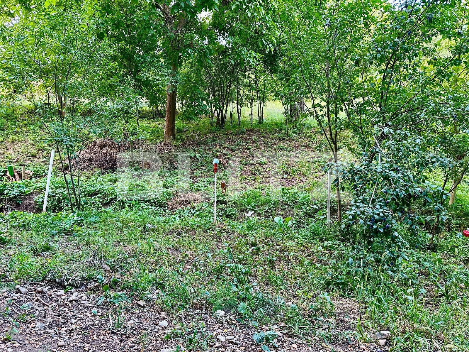 Teren de vânzare Podgoria - 86382TV | BLITZ Oradea | Poza5