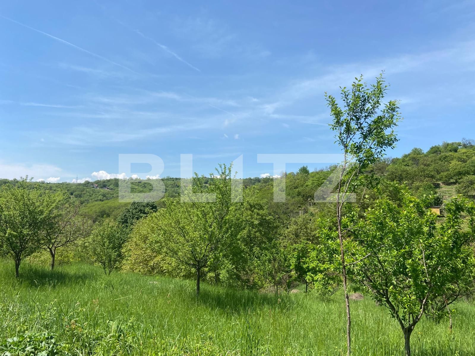 Teren de vânzare Podgoria - 86382TV | BLITZ Oradea | Poza6