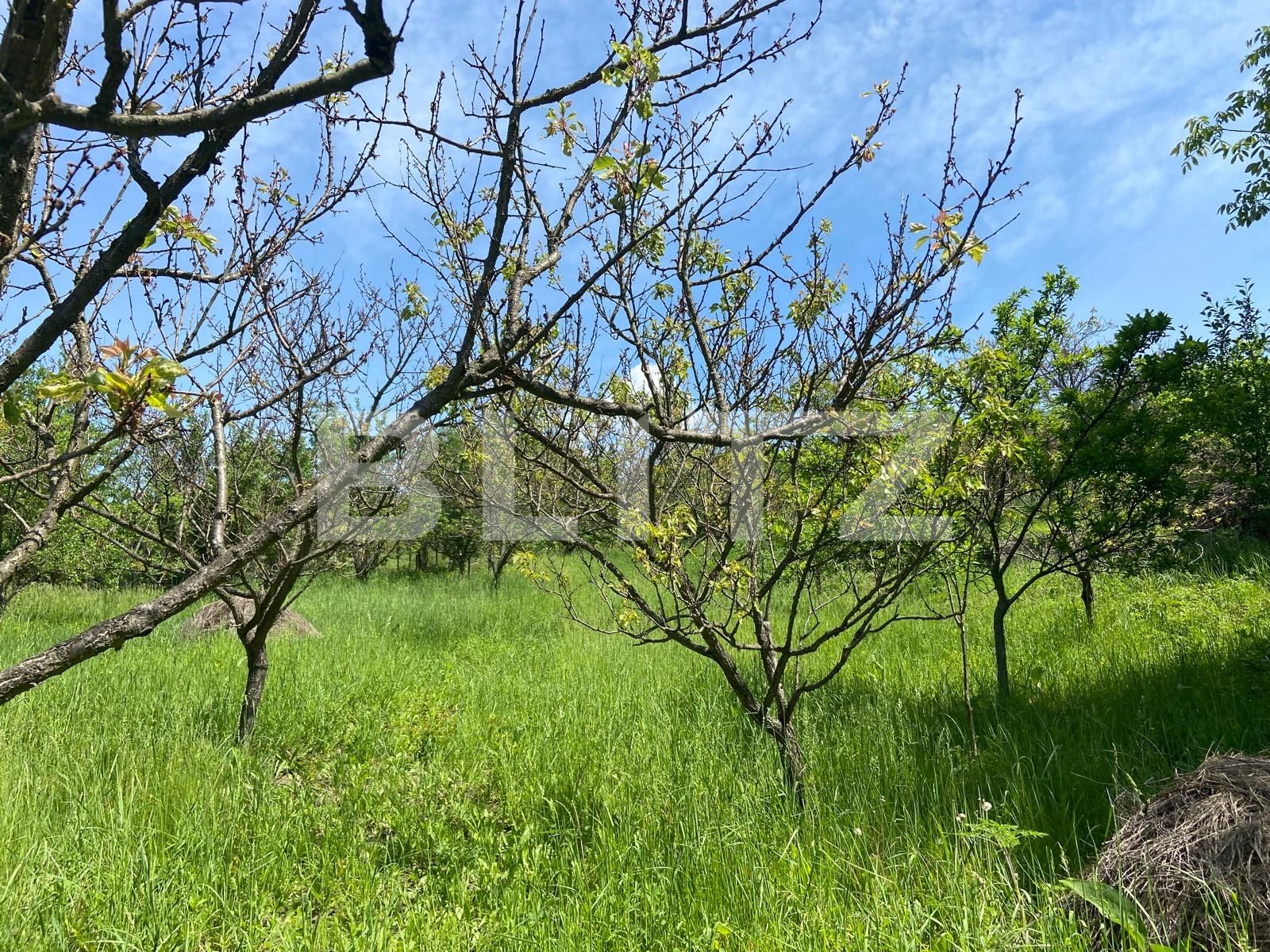 Teren de vânzare Podgoria - 86382TV | BLITZ Oradea | Poza11