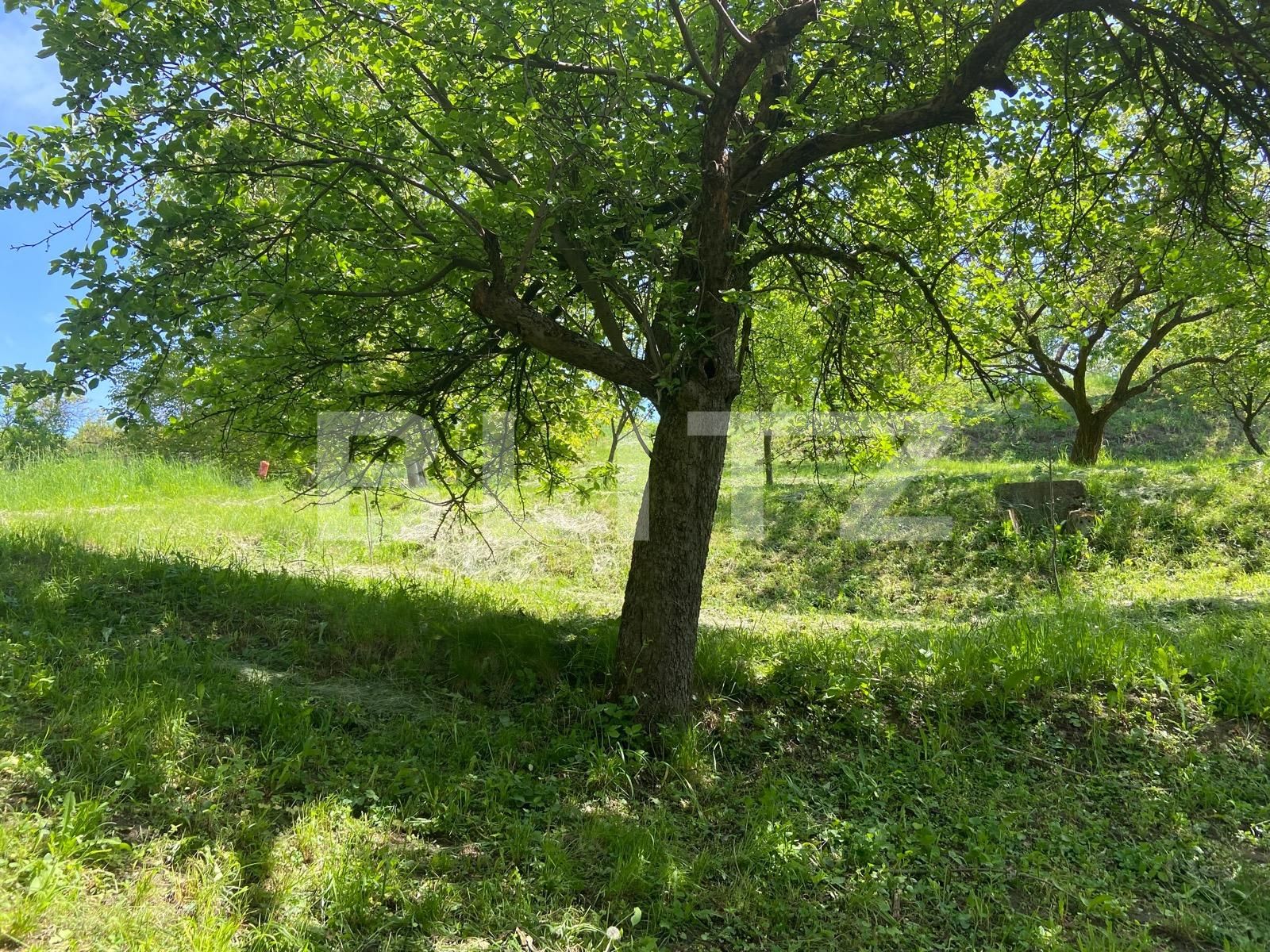 Teren de vânzare Podgoria - 86382TV | BLITZ Oradea | Poza8