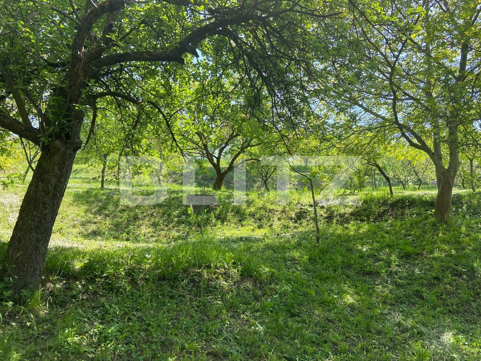 Teren de vânzare Podgoria - 86382TV | BLITZ Oradea | Poza14