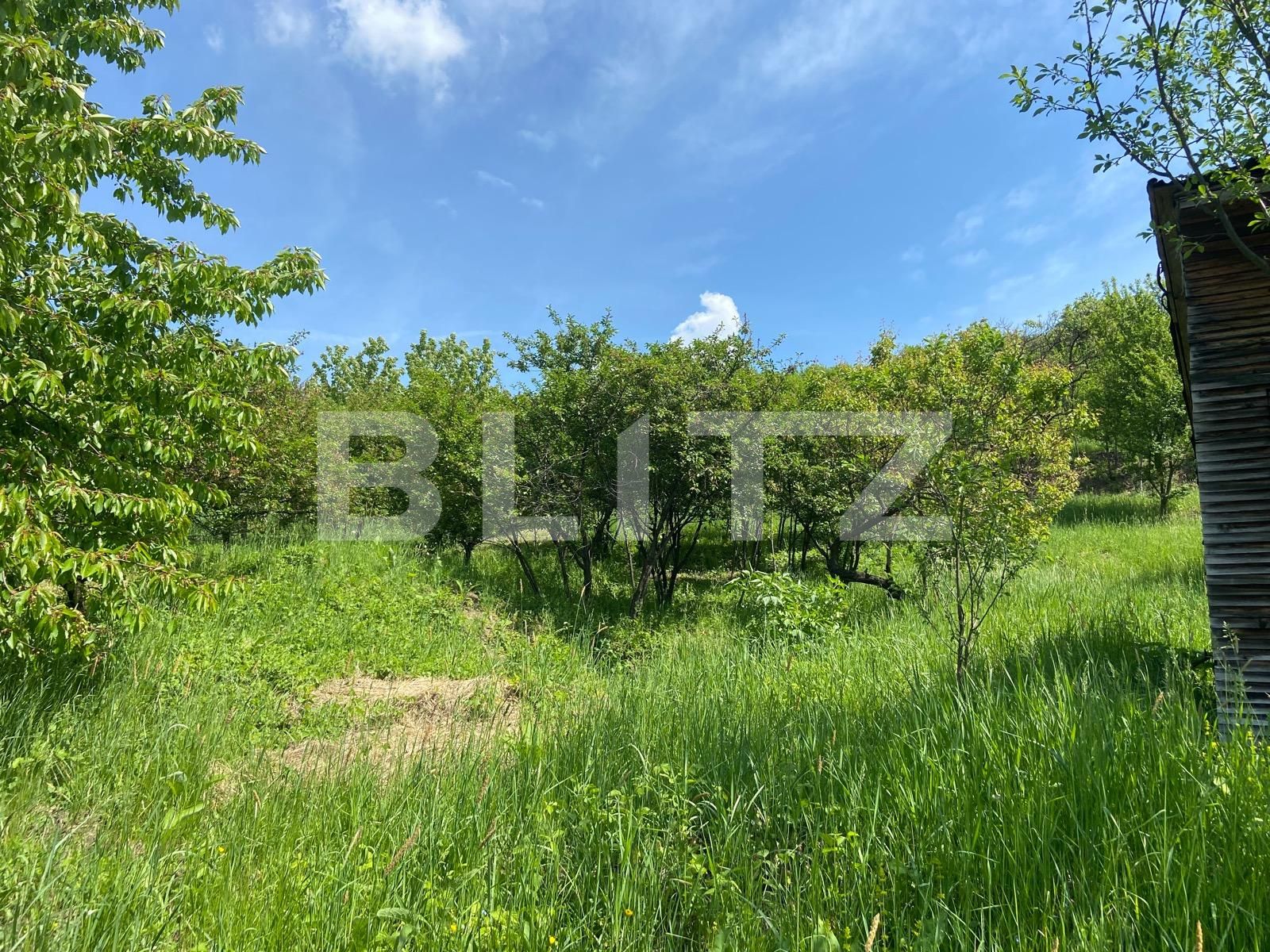 Teren de vânzare Podgoria - 86382TV | BLITZ Oradea | Poza12