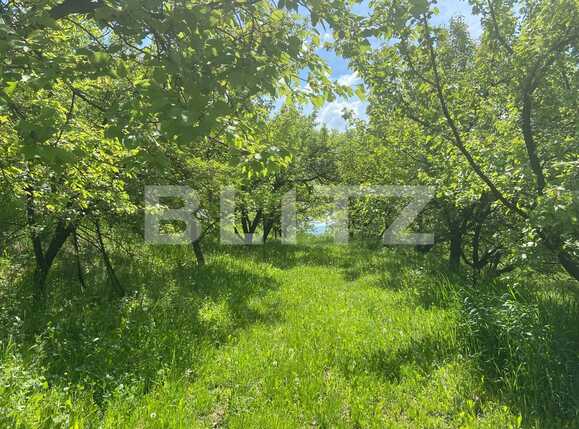 Teren de vânzare Podgoria - 86385TV | BLITZ Oradea | Poza5