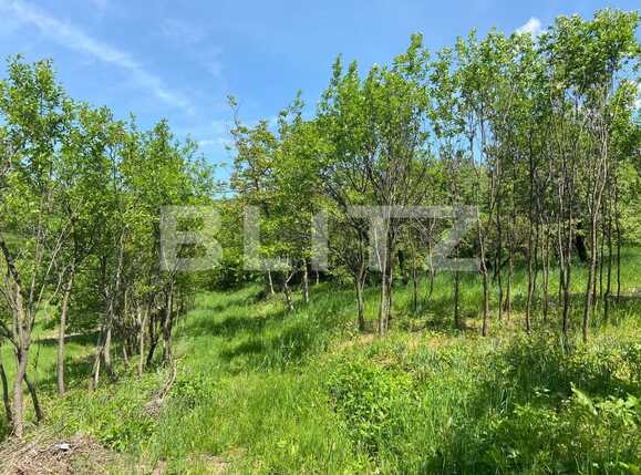 Teren de vânzare Podgoria - 86385TV | BLITZ Oradea | Poza1