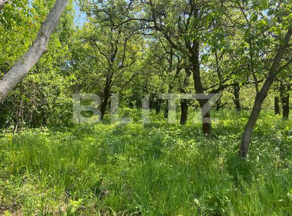 Teren de vânzare Podgoria - 86385TV | BLITZ Oradea | Poza7