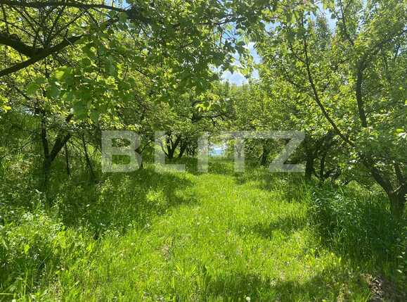 Teren de vânzare Podgoria - 86385TV | BLITZ Oradea | Poza6