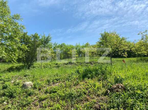 Teren de vânzare Podgoria - 86385TV | BLITZ Oradea | Poza2