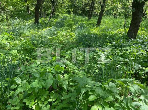 Teren de vânzare Podgoria - 86385TV | BLITZ Oradea | Poza4