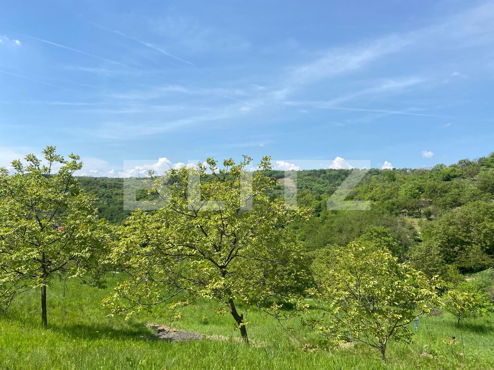 Teren de vânzare Podgoria - 86385TV | BLITZ Oradea | Poza3